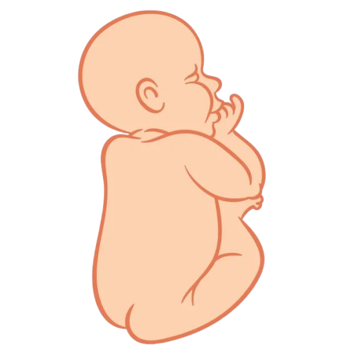 depositphotos 78051870 stock illustration sleeping baby sucking fingers removebg preview